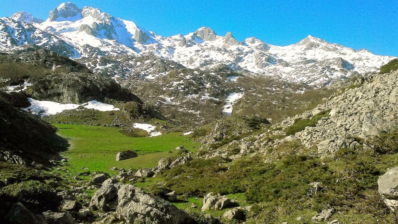 Hotel Fitu Colunga Dış mekan fotoğraf